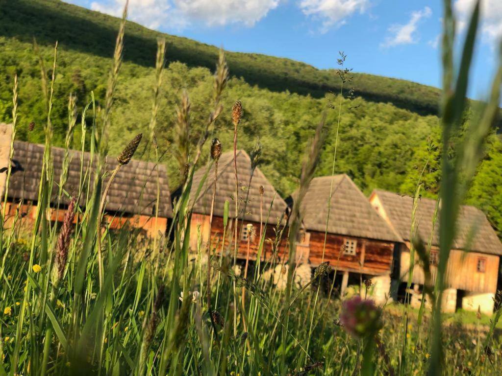 Apartman Danijela Otocac Bagian luar foto