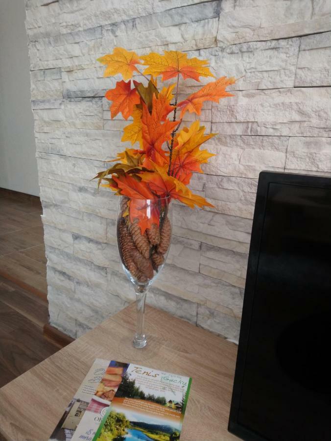 Apartman Danijela Otocac Bagian luar foto
